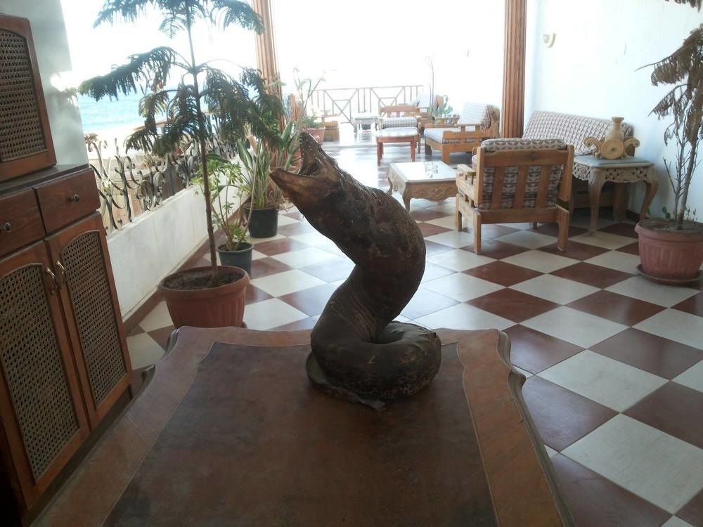 Sea Soul Hotel Dahab Extérieur photo